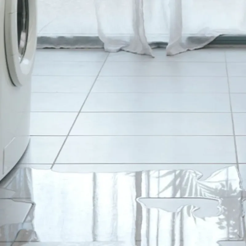 Appliance Leak Cleanup in Salcha, AK